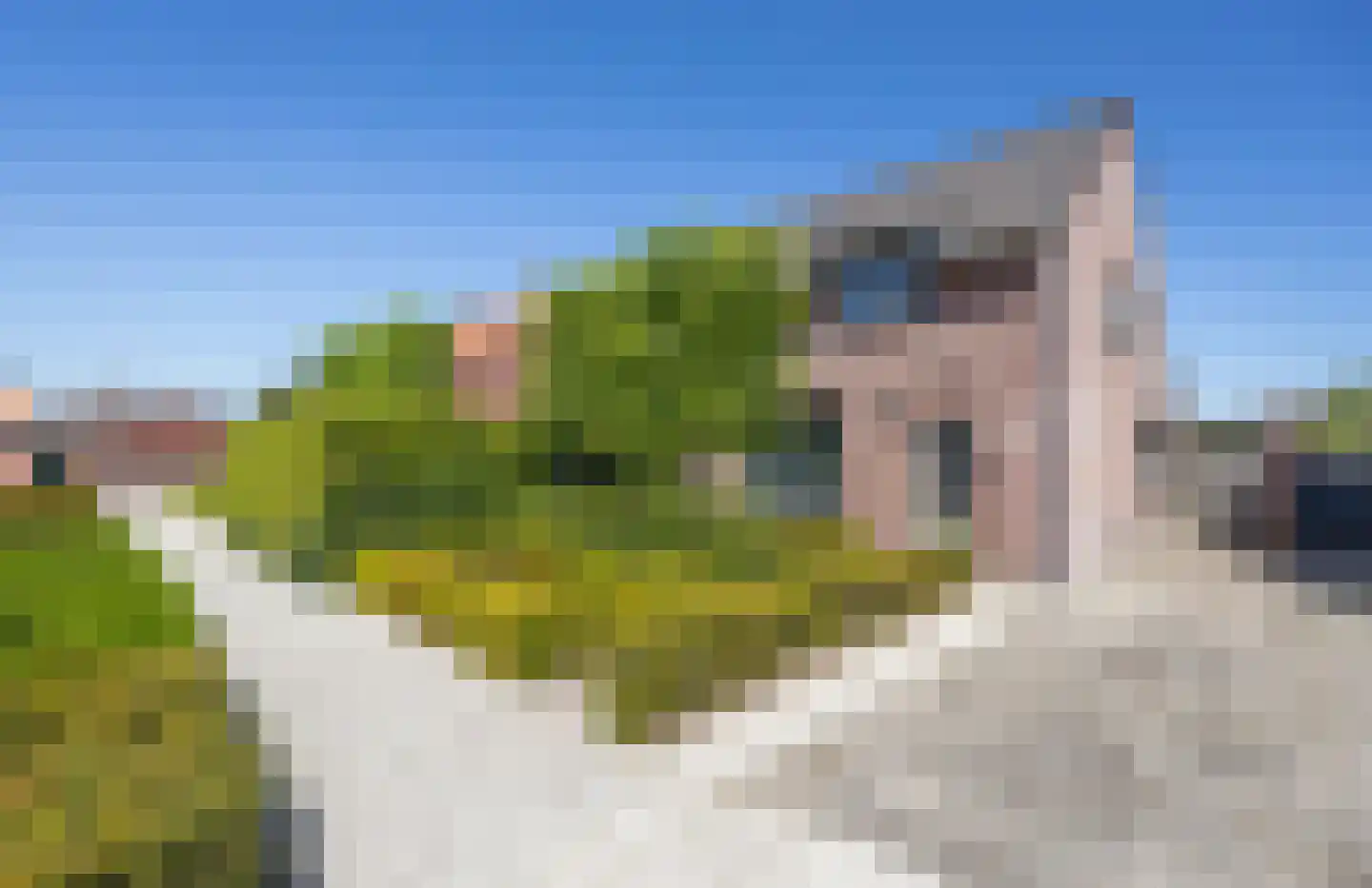 Kapelaan L. de Nijsstraat 6 Rijsbergen thumbnail 5
