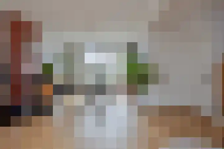 Kapelaan Molstraat 25 Halsteren thumbnail 12