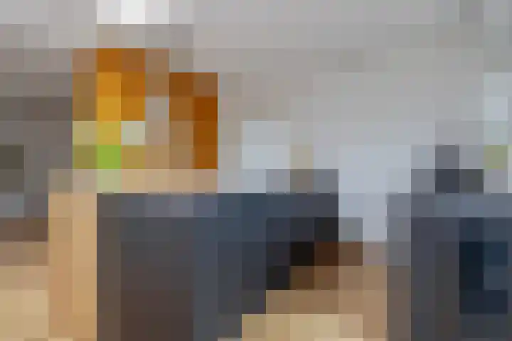 Kapelaan Molstraat 25 Halsteren thumbnail 17
