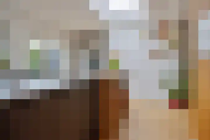 Kapelaan Molstraat 25 Halsteren thumbnail 22