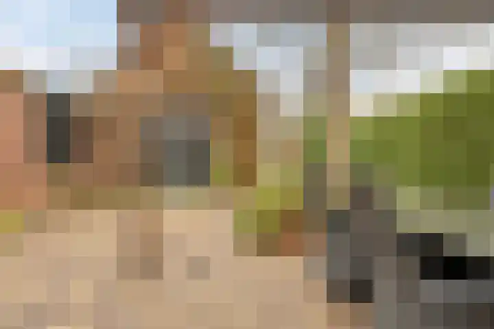 Kapelaan Molstraat 25 Halsteren thumbnail 33