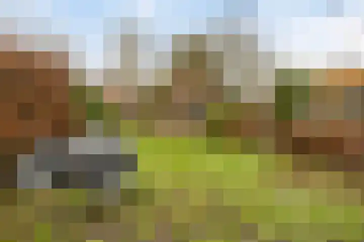 Kapelaan Molstraat 25 Halsteren thumbnail 4
