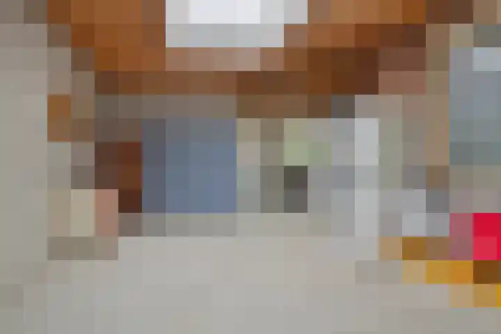 Kapelaan Molstraat 25 Halsteren thumbnail 45