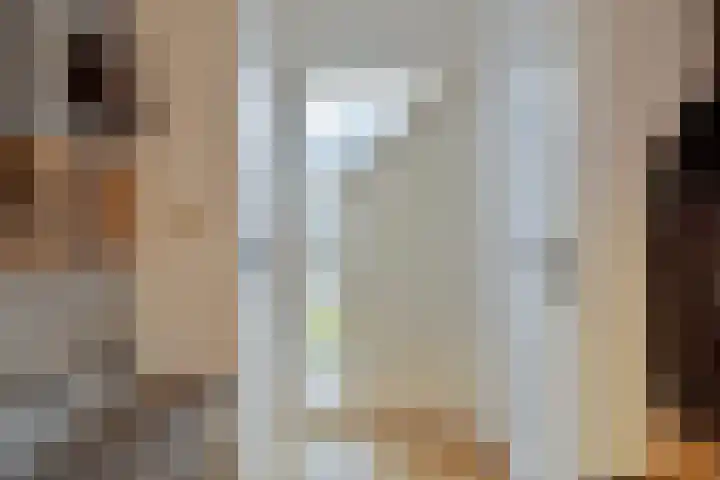 Kapelaan Molstraat 25 Halsteren thumbnail 6