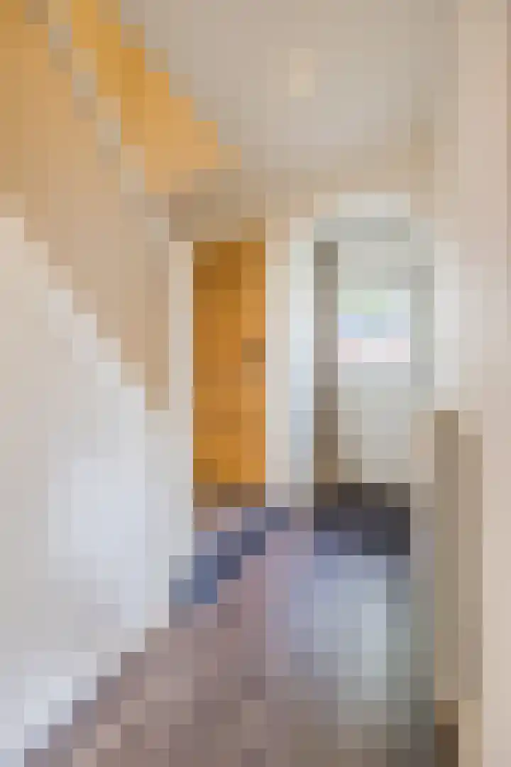 Kapelaan Molstraat 26 Halsteren thumbnail 14