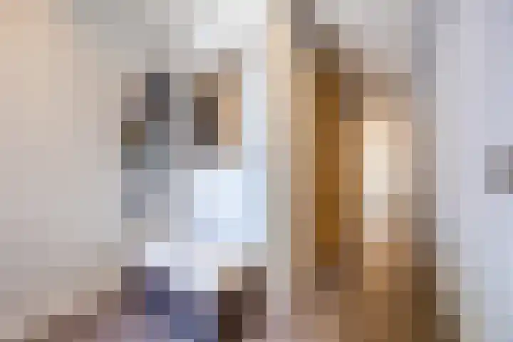 Kapelaan Molstraat 26 Halsteren thumbnail 32