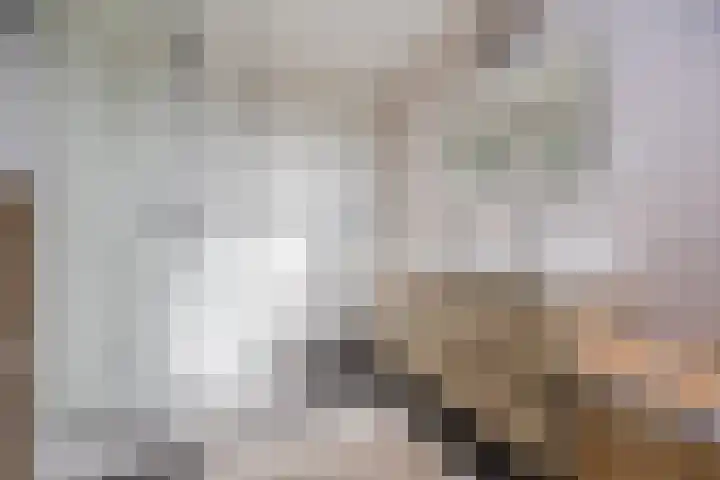 Kapelaan Molstraat 26 Halsteren thumbnail 5