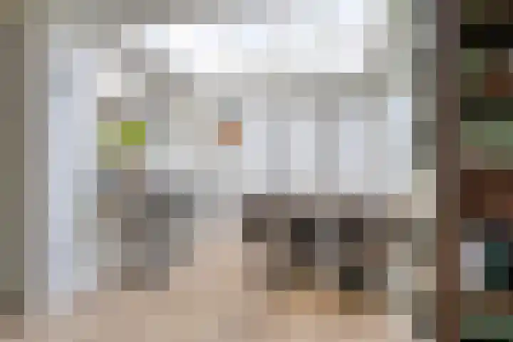 Kapelaan Molstraat 28 Halsteren thumbnail 16