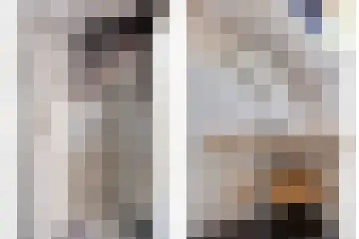 Kapelaan Molstraat 28 Halsteren thumbnail 37