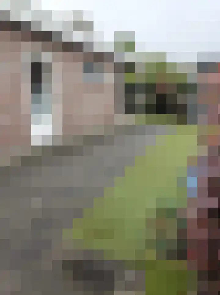Kapelaan Molstraat 28 Halsteren thumbnail 39