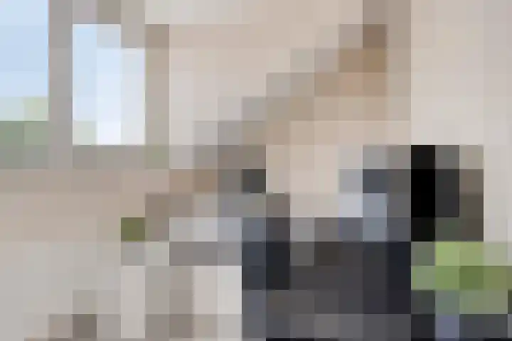 Kapelaan Molstraat 28 Halsteren thumbnail 5