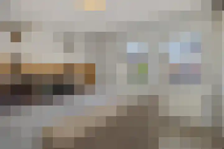Kapelaan Nausstraat 23 Oss thumbnail 16