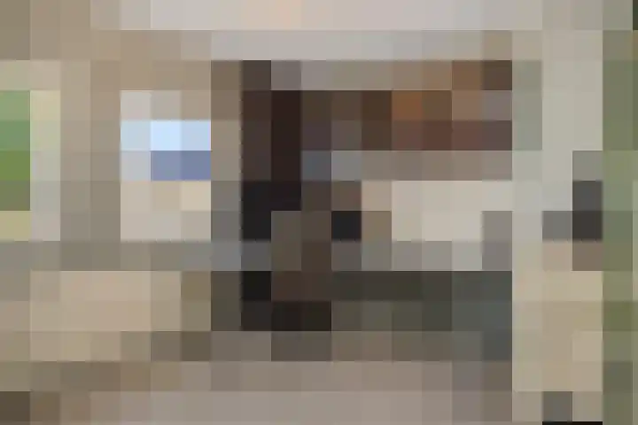Kapelaan Nausstraat 23 Oss thumbnail 20