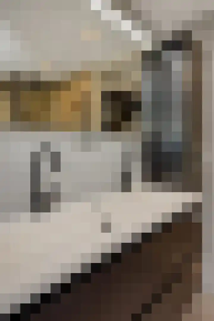 Kapelaan Nausstraat 23 Oss thumbnail 23