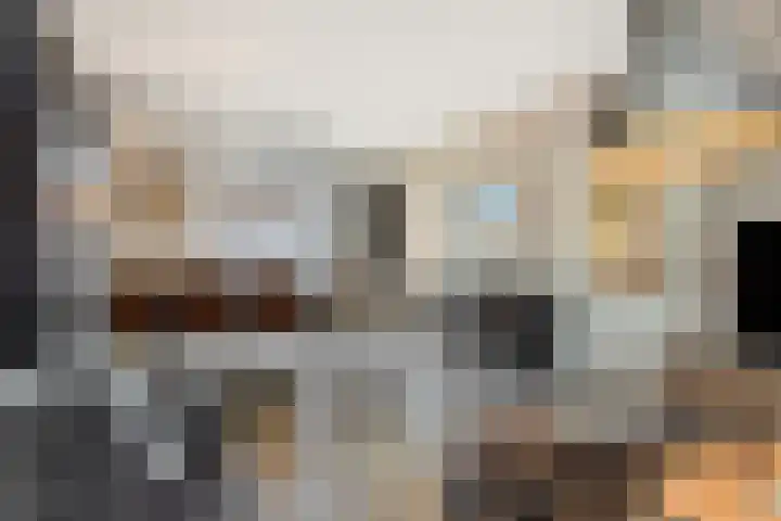 Kapelaan Nausstraat 23 Oss thumbnail 4