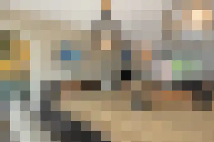 Kapelaan Nausstraat 23 Oss thumbnail 5