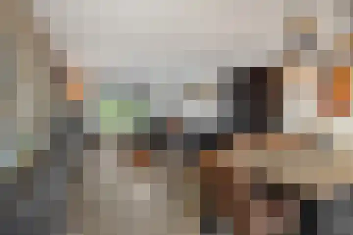 Kapelaan Nausstraat 23 Oss thumbnail 9