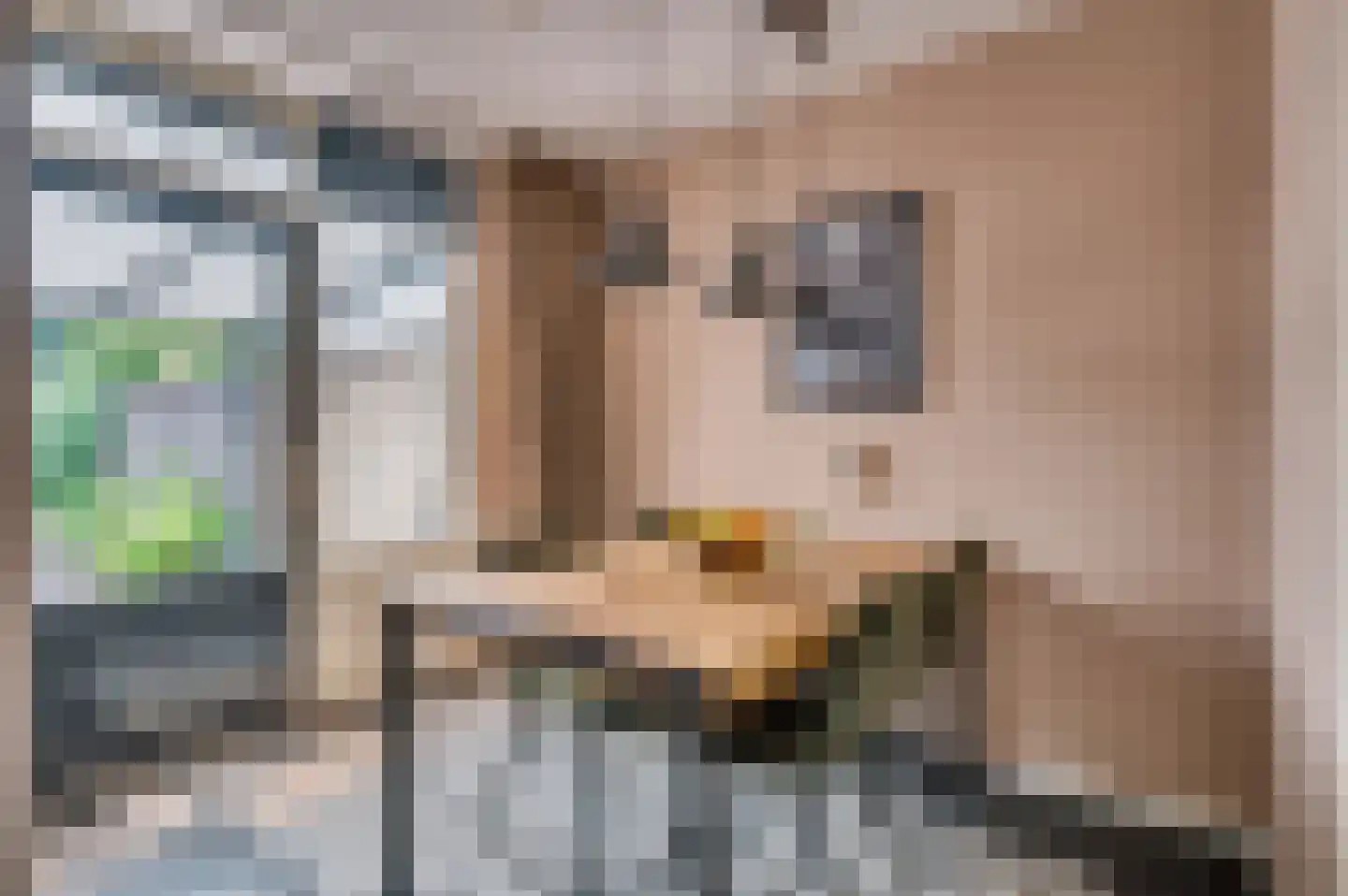 Kapelaan Nausstraat 25 Venlo thumbnail 12