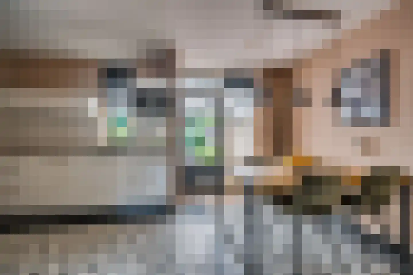 Kapelaan Nausstraat 25 Venlo thumbnail 13