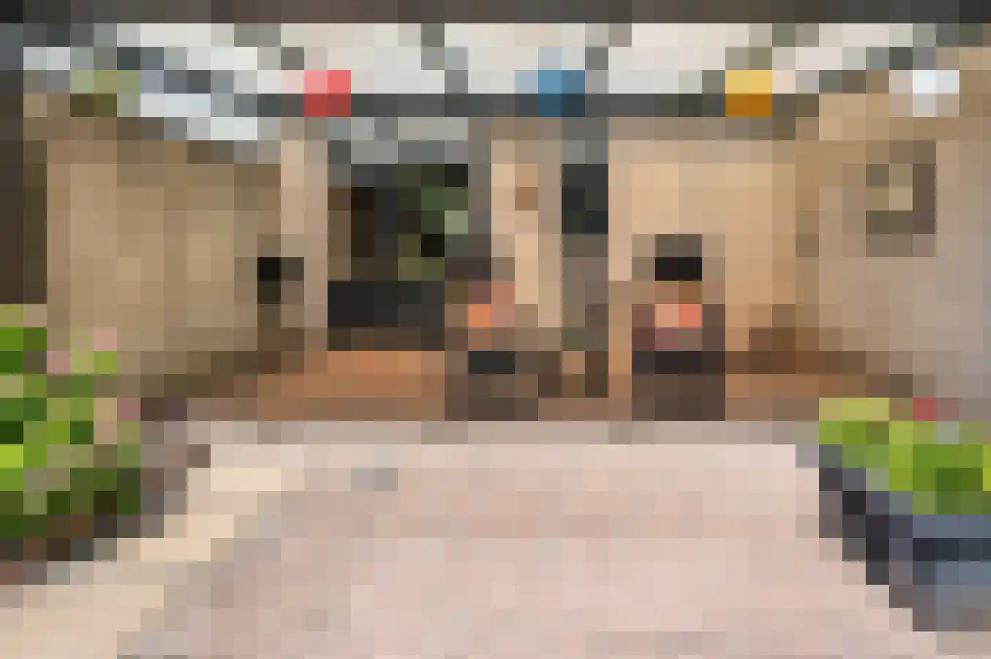 Kapelaan Nausstraat 25 Venlo thumbnail 36