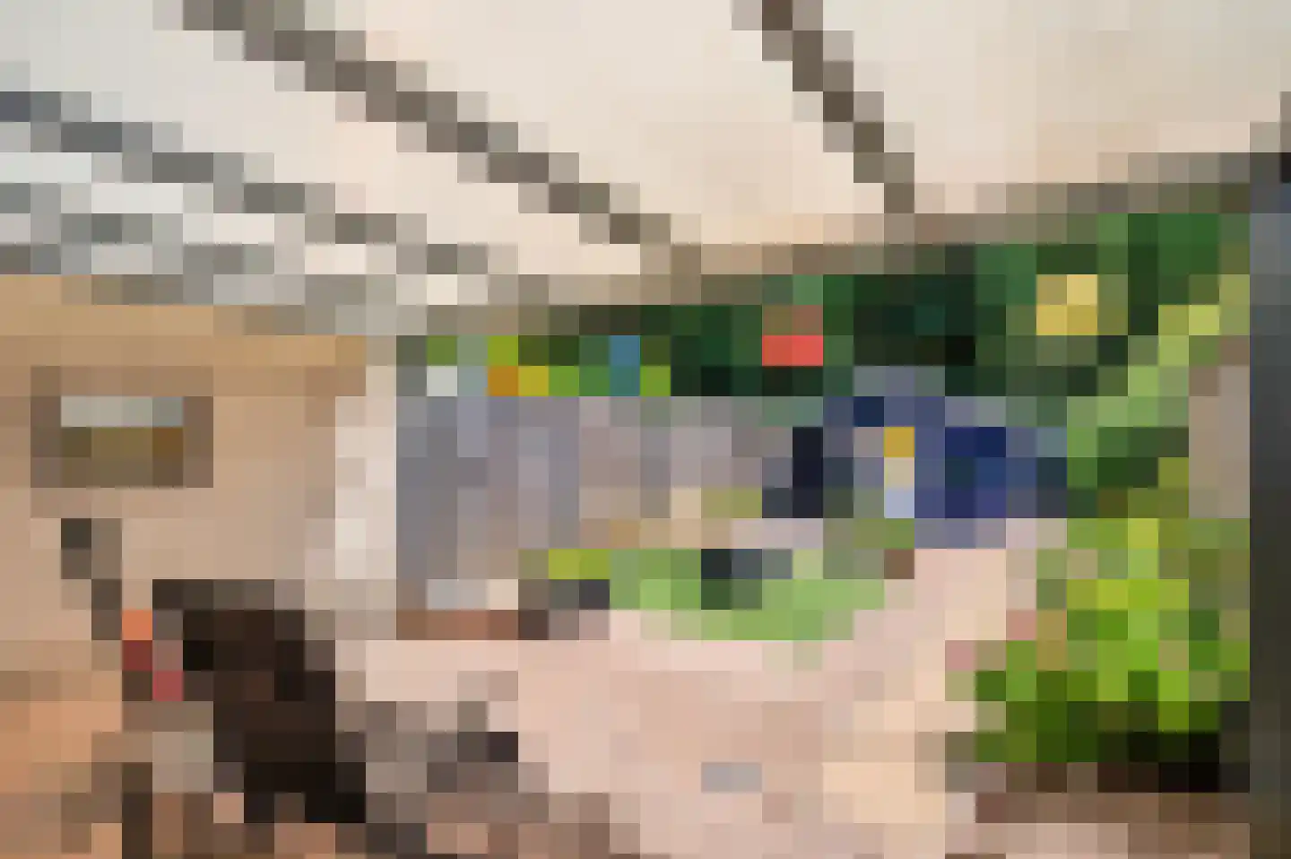 Kapelaan Nausstraat 25 Venlo thumbnail 37
