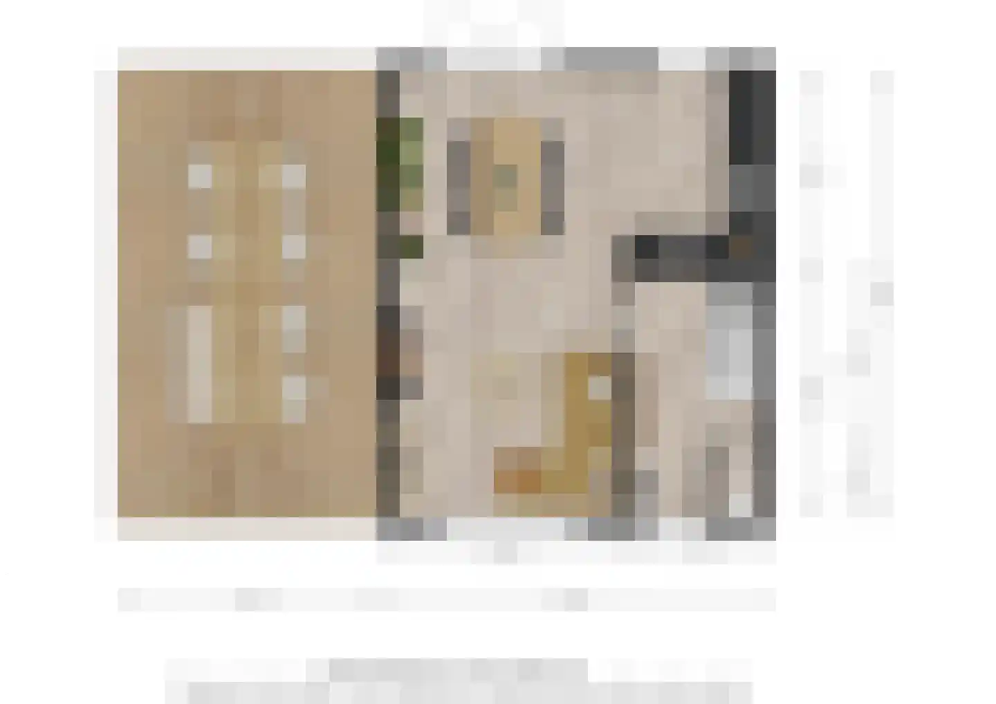 Kapelaan Nausstraat 31 Oss thumbnail 29