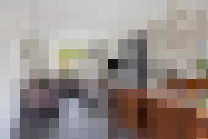 Kapelaan Nausstraat 31 Oss thumbnail 7