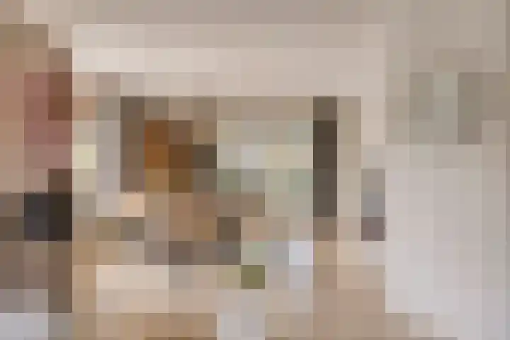 Kapelaan Nausstraat 9 Egchel thumbnail 10