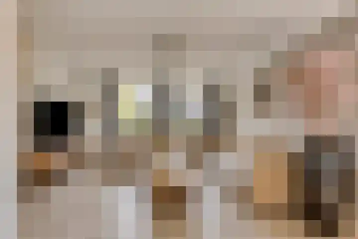 Kapelaan Nausstraat 9 Egchel thumbnail 11