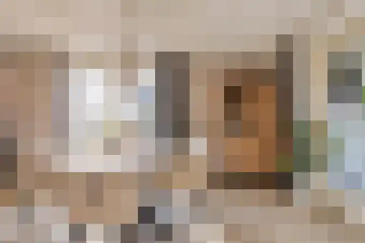Kapelaan Nausstraat 9 Egchel thumbnail 12