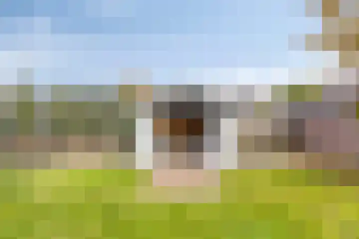 Kapelaan Nausstraat 9 Egchel thumbnail 35