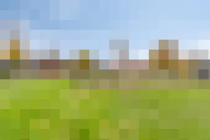 Kapelaan Nausstraat 9 Egchel thumbnail 36