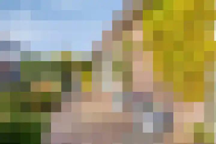 Kapelaan Nausstraat 9 Egchel thumbnail 4