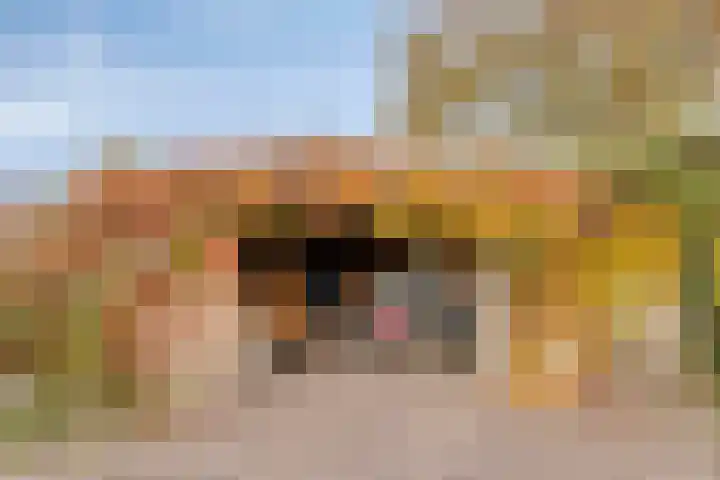Kapelaan Nausstraat 9 Egchel thumbnail 43