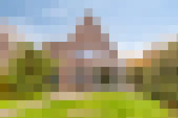 Kapelaan Nausstraat 9 Egchel thumbnail 45