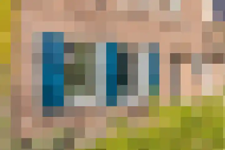 Kapelaan Nausstraat 9 Egchel thumbnail 5