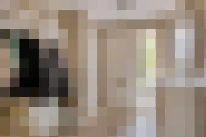 Kapelaan Nausstraat 9 Egchel thumbnail 7