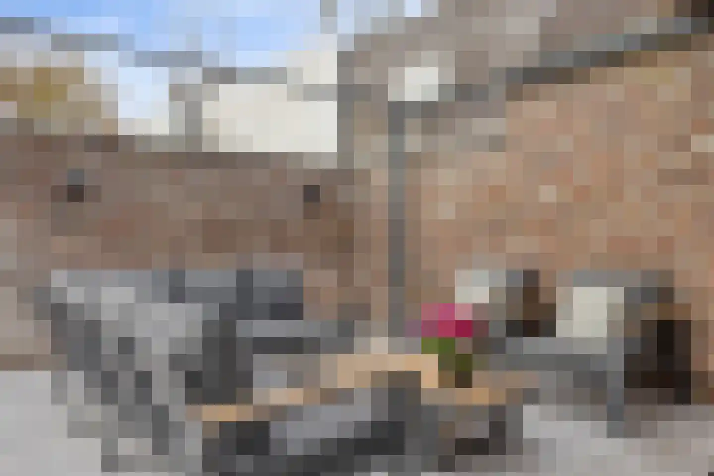 Kapelaan Pendersplein 5 Gulpen thumbnail 19