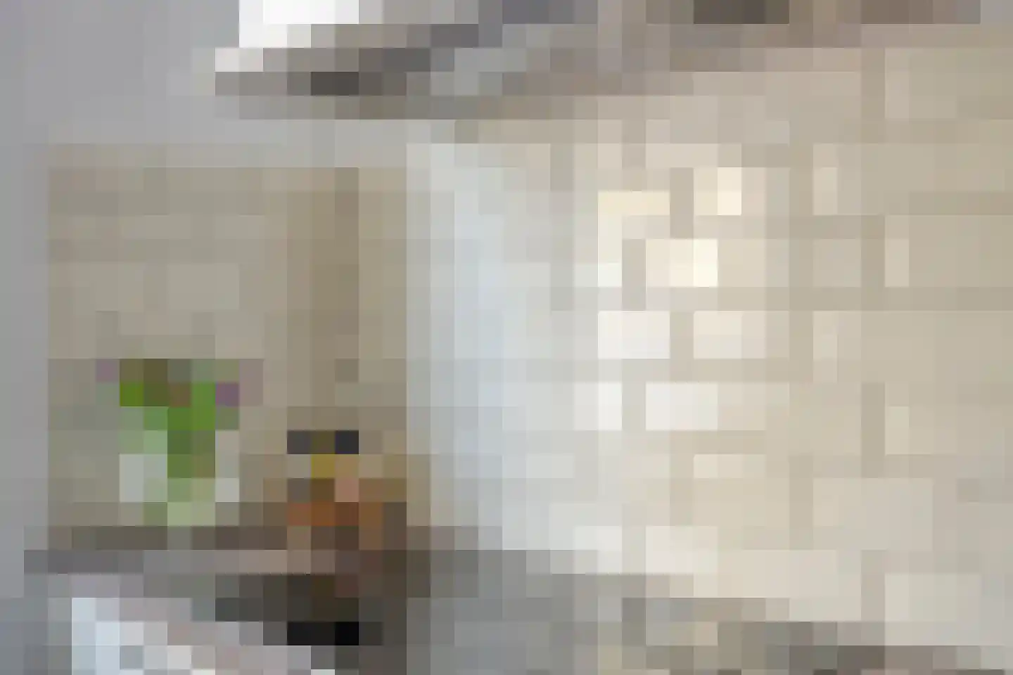 Kapelaan Pendersplein 5 Gulpen thumbnail 9