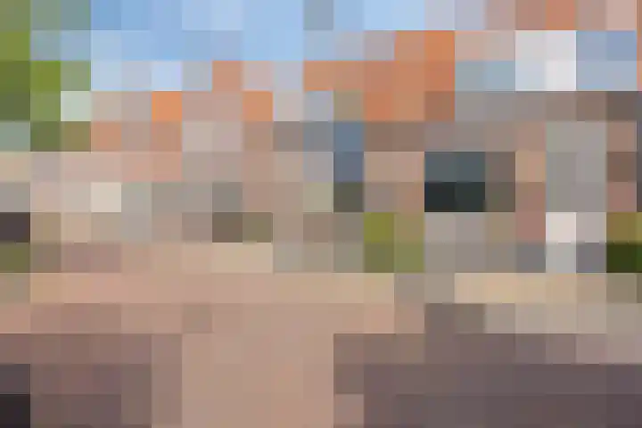 Kapelaan Ruiterstraat 28 Volendam thumbnail 23
