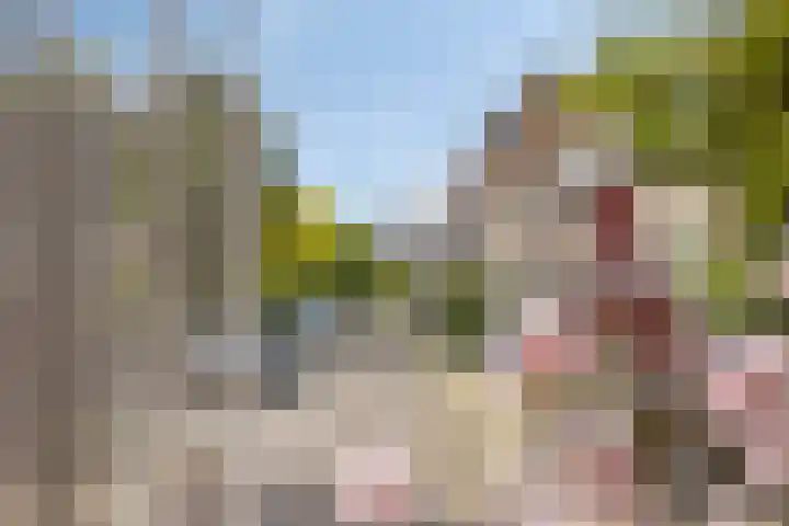 Kapelaan Ruiterstraat 28 Volendam thumbnail 4