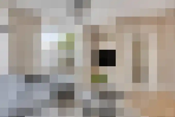 Kapelaan Ruiterstraat 28 Volendam thumbnail 5