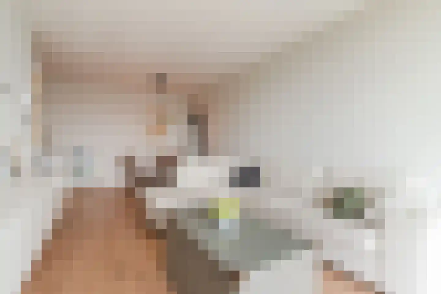 Kapelaan Sleegersstraat 28 Oisterwijk thumbnail 18