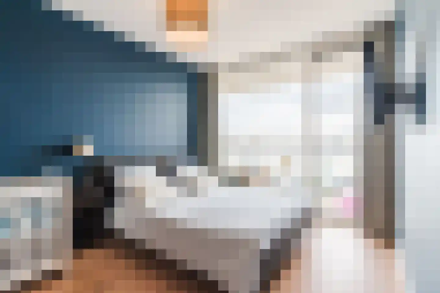 Kapelaan Sleegersstraat 28 Oisterwijk thumbnail 23