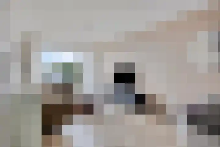 Kapelaan Sleegersstraat 30 Oisterwijk thumbnail 7