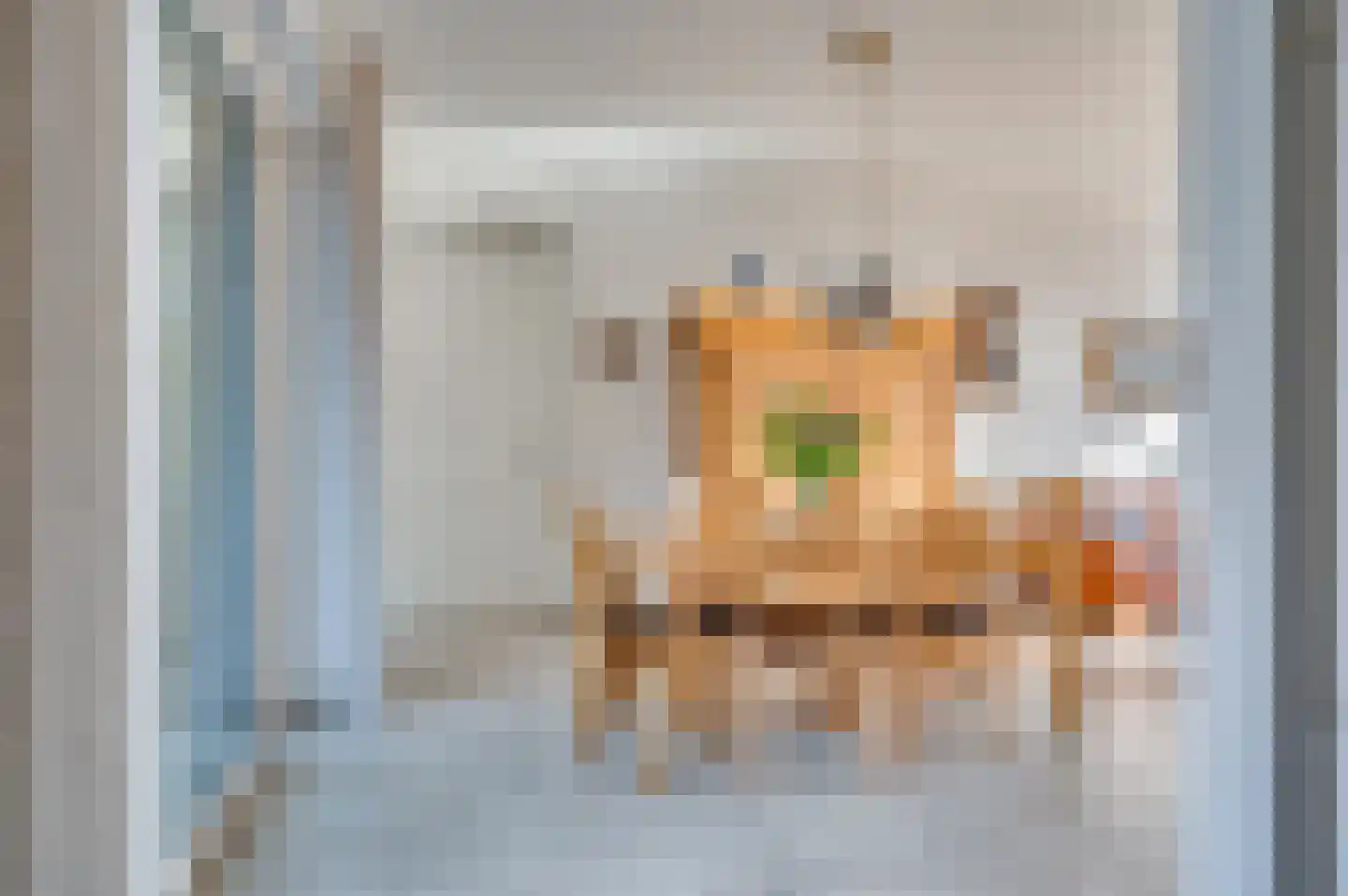Kapelaan Slotsstraat 68 Grubbenvorst thumbnail 12