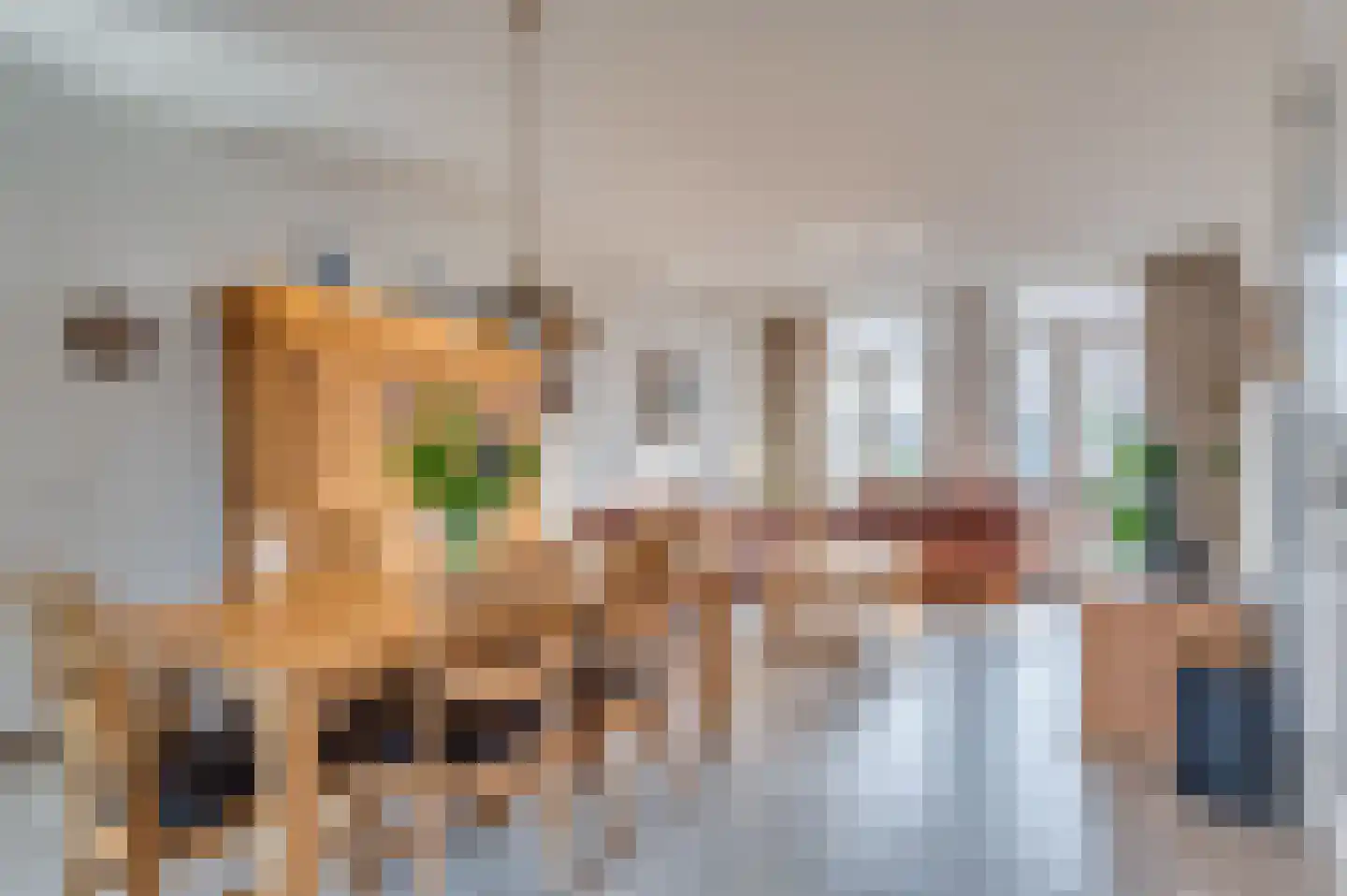 Kapelaan Slotsstraat 68 Grubbenvorst thumbnail 13