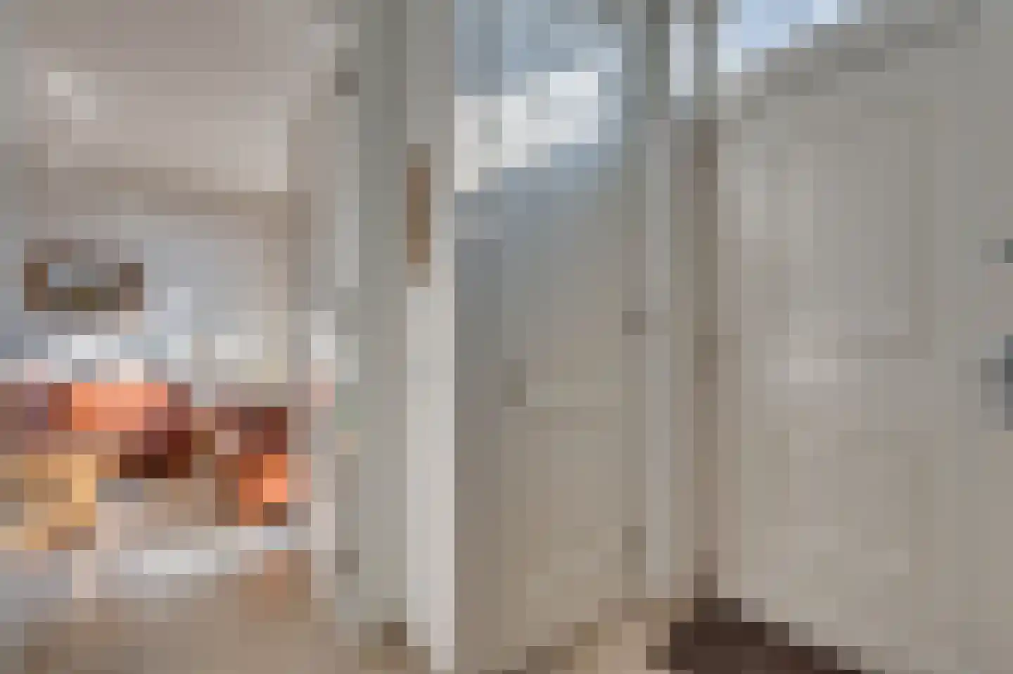 Kapelaan Slotsstraat 68 Grubbenvorst thumbnail 4