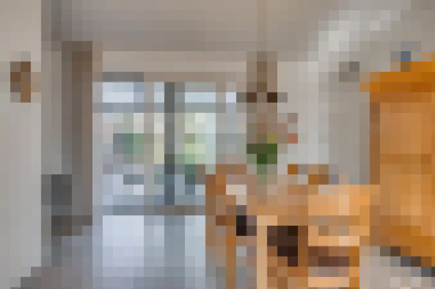 Kapelaan Slotsstraat 68 Grubbenvorst thumbnail 8