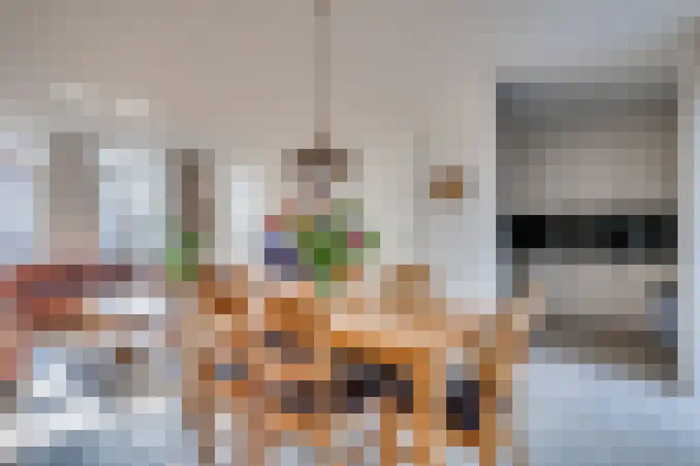 Kapelaan Slotsstraat 68 Grubbenvorst thumbnail 9